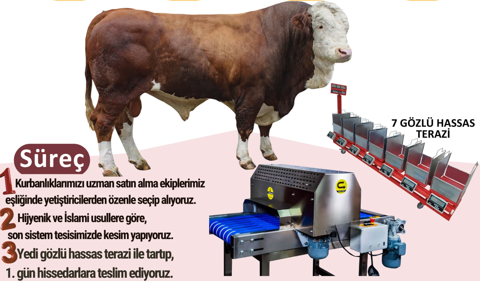 Bostancı Kurban Hizmetleri